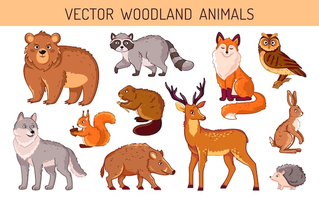 A set of forest animals on an isolated background Bright and cute animals in cartoon style vector