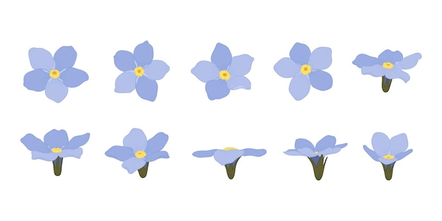 Set of Forget Me Not blooming flowers illustration