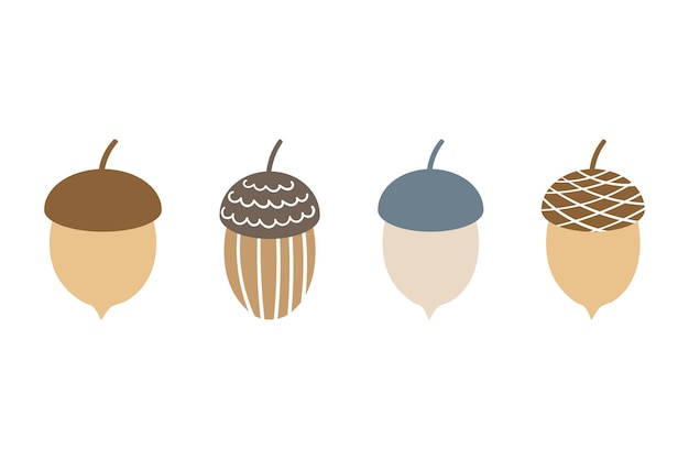 A set of four acorns for design