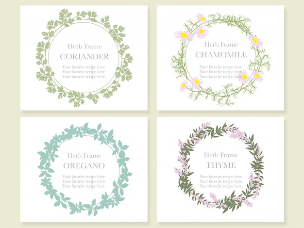 Set of four frames with various herbs: coriander, chamomile, oregano, and thyme.   illustration.