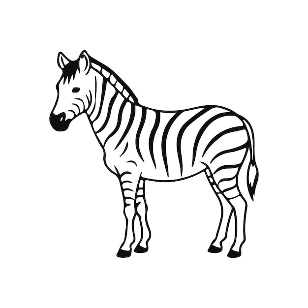 Set of four Zebras