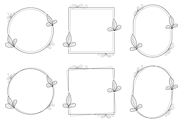 Vector a set of frames with a line of arrows and a leaf