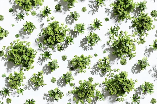 Vector set of fresh green herbs on white background