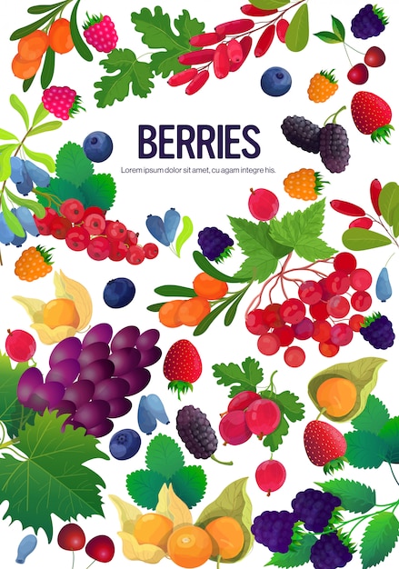 set fresh juicy berries composition healthy natural food concept vertical copy space