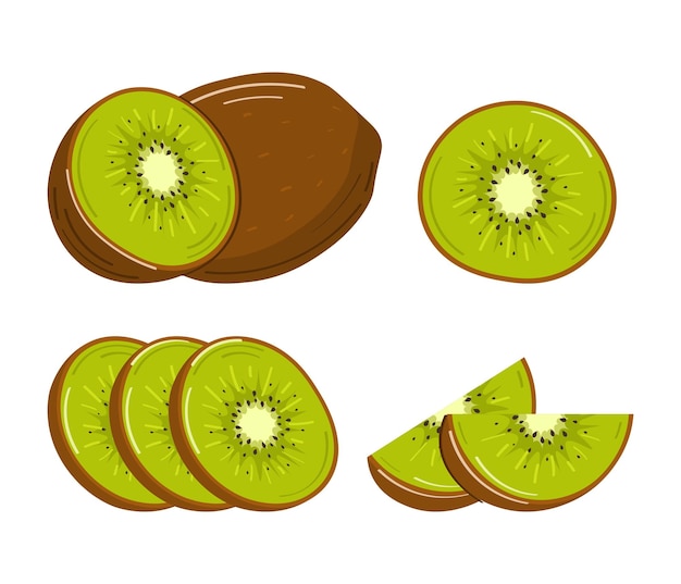 Set of fresh and juicy kiwi fruit whole half and cut slice Vector illustration