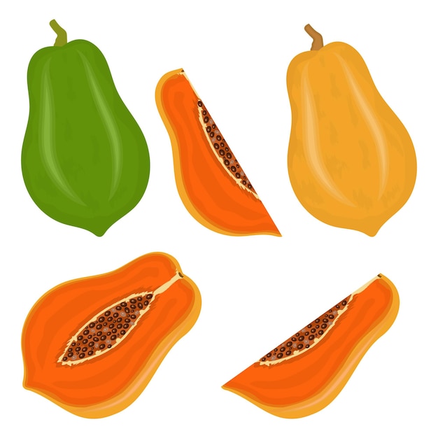 Set of fresh juicy papaya fruits with slices