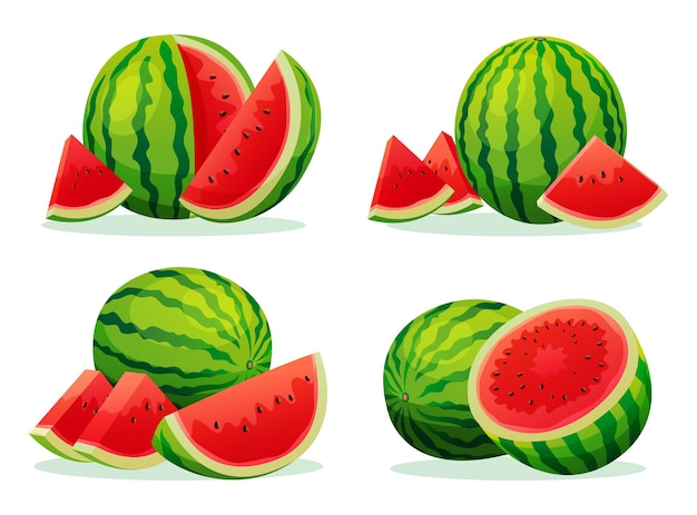 Set of fresh juicy watermelon whole half and cut slice illustration isolated on white background