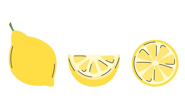 Vector set of fresh lemon whole qurter acid lemon fruit and slice