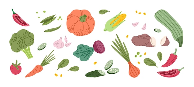 Set of fresh organic farm vegetables in doodle style Healthy veggies collection Autumn harvest and crops Colored flat vector illustration of vegan raw ripe food isolated on white background