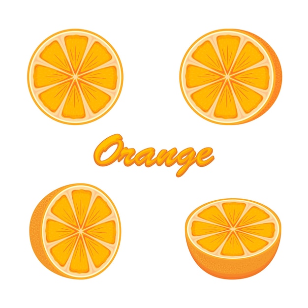 Set of fresh ripe oranges isolated on white background illustration