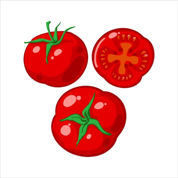 Set of fresh ripe red tomatoes, tomato slice. Vector illustration isolated on white background.