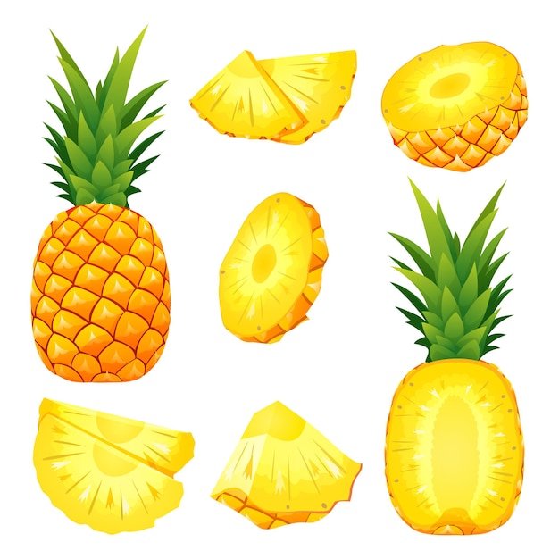 Set of fresh whole half and cut slice pineapple illustration isolated on white background