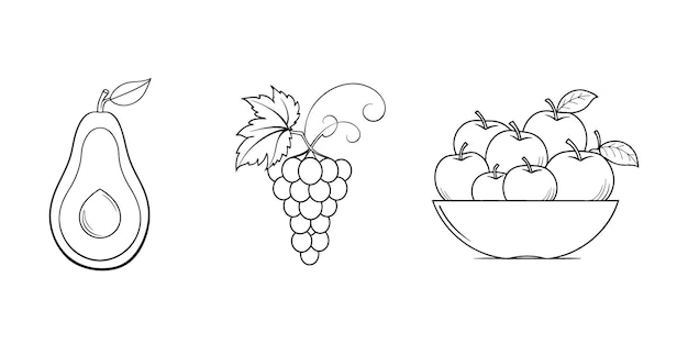 Set of Fruit Line Art Illustrations Featuring Avocado Grapes and Apples