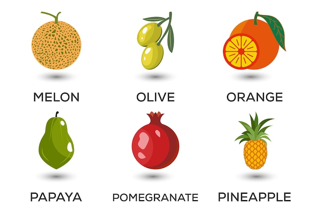 Set of fruits Different colorful fruits Fresh food healthy eating concept Vector illustration