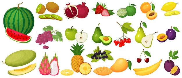 A set of fruits Watermelon avocado cherry lime petay a pear apple plum apricot grape mango banana