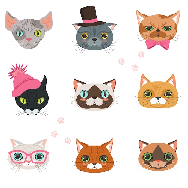 Set of funny cats heads of different breeds