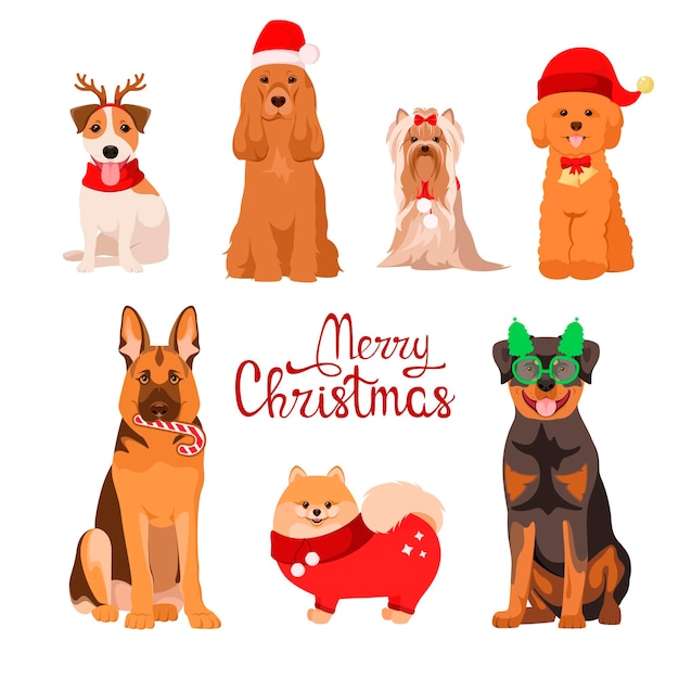 A set of funny Christmas dogs on a white background. Cartoon design.