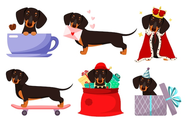 A set of funny dachshund dogs on a white background Cartoon design