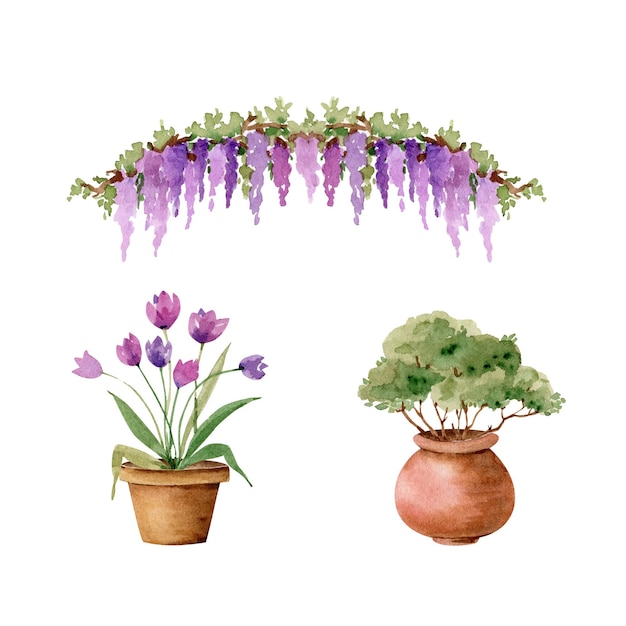 set of garden flowers in pots and plants watercolor illustration isolated on white background