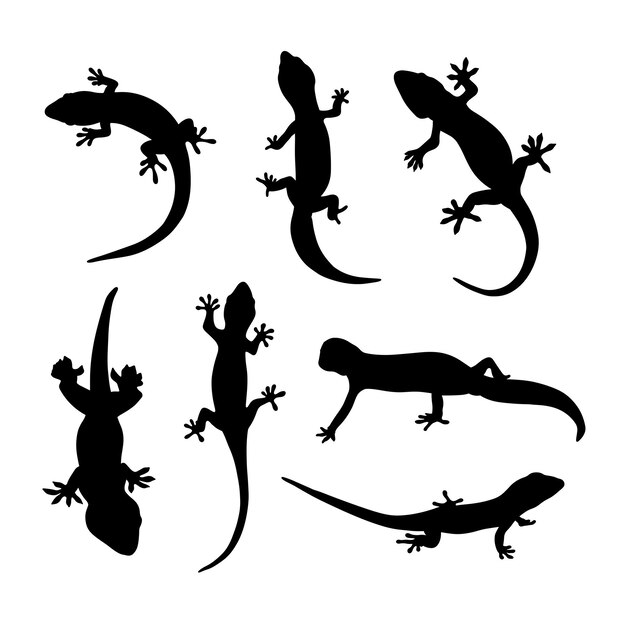 Vector set of gecko silhouette vector