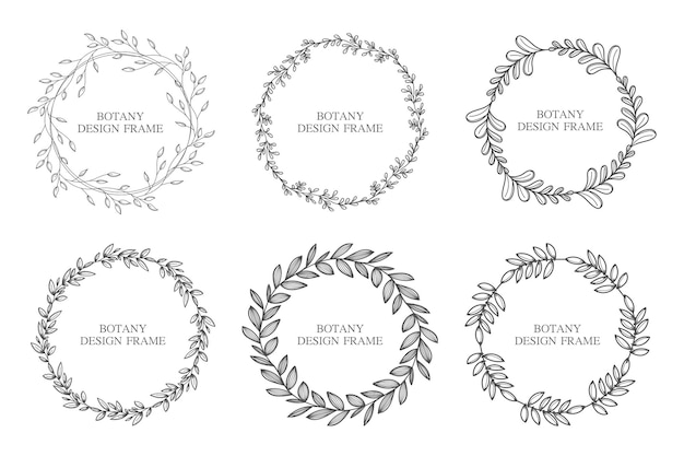 Set geometric flower wreath with leaves and branches Botany round frame isolated on white background