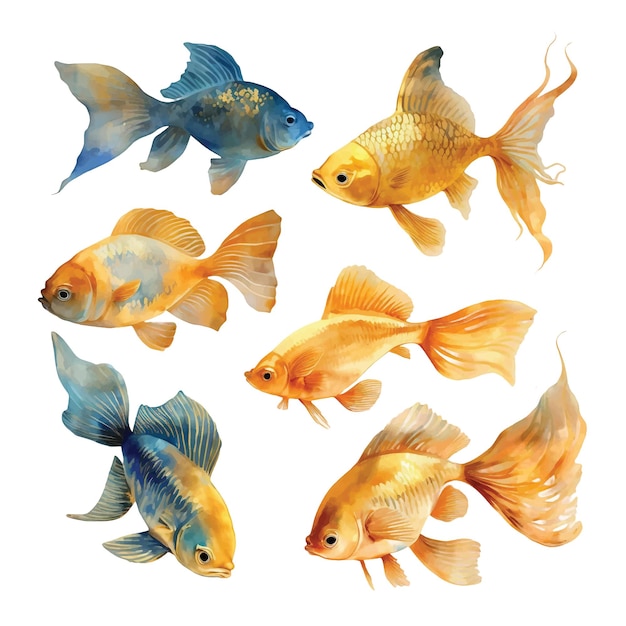 Set of gold fishes watercolor paint