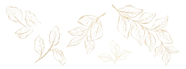 Set of golden leaves illustration