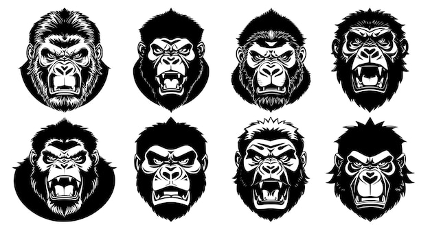 Set of gorilla heads with open mouth and bared fangs with different angry expressions of the muzzle Symbols for tattoo emblem or logo isolated on a white background