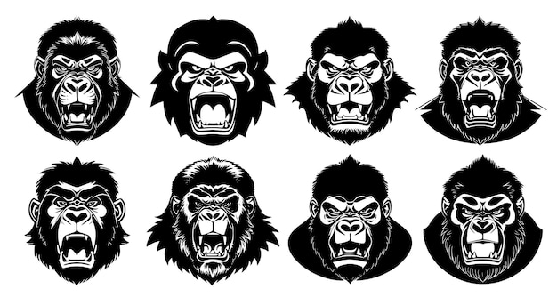 Set of gorilla heads with open mouth and bared fangs with different angry expressions of the muzzle Symbols for tattoo emblem or logo isolated on a white background