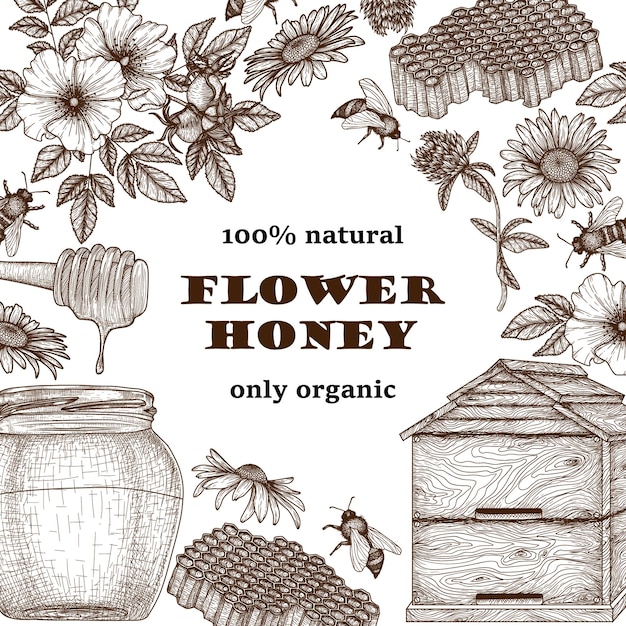 Vector set of graphic elements honey honeycomb flowers beehive