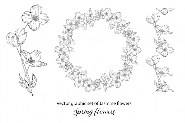 A set of graphic flower compositions with  flowers. 