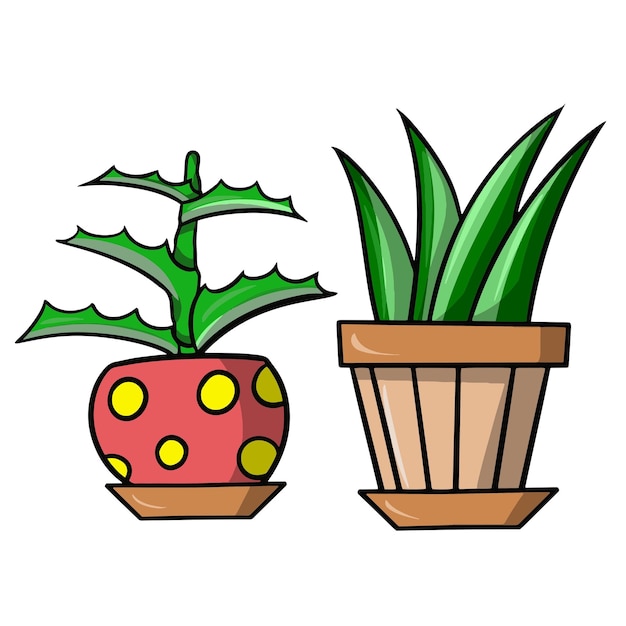 A set of green aloe plants in ceramic pots indoor plants cartoon vector illustration