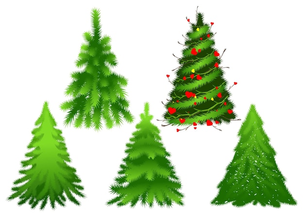 Set green Christmas fir pine tree. Isolated on white vector illustration