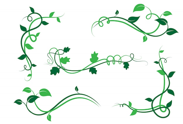 Set of green floral border decoration elements, leaves, isolated on white