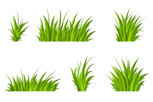 Set of green grass Grass bushes of different shapes Hand drawn grass Green grass Vector illustration