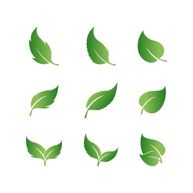 Set of Green Leaf Logo design inspiration vector icons