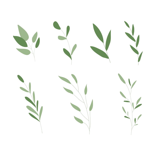 Set of Green Leafs