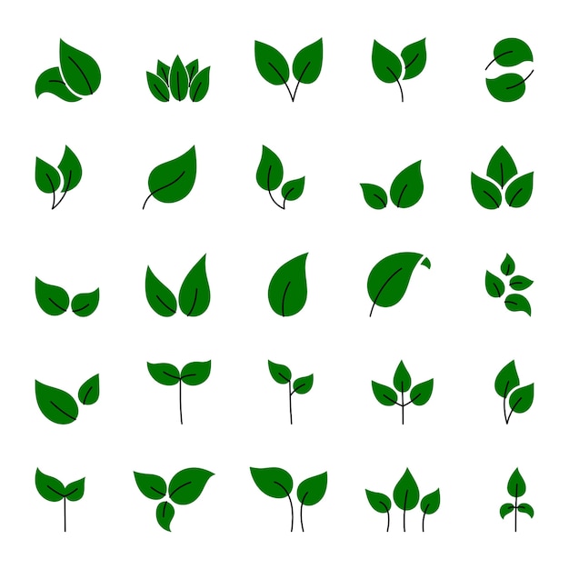 Set of green leaves  elements. This image is a  illustration.