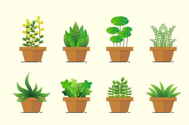 Set of green plant pot in flat design