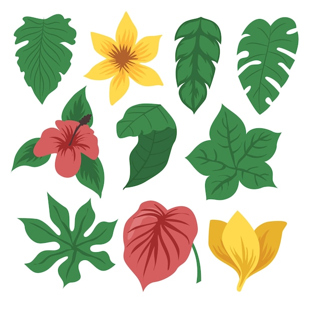 Set of Green Tropical Flower, Foliage Collection with colorful floral Botanical bundle Element