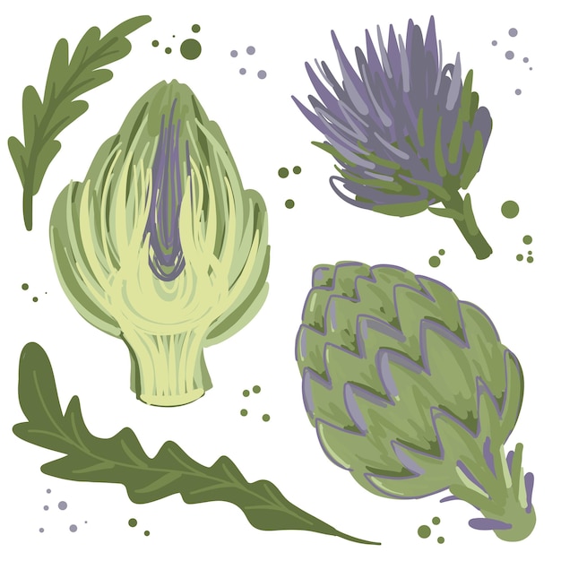 Set of hand drawn artichock Bundle of fresh diet vegetarian cooking ingredients Flat cartoon