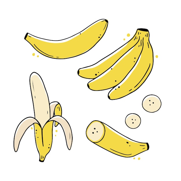 Set of hand drawn banana fruit. Doodle sketch line style illustration