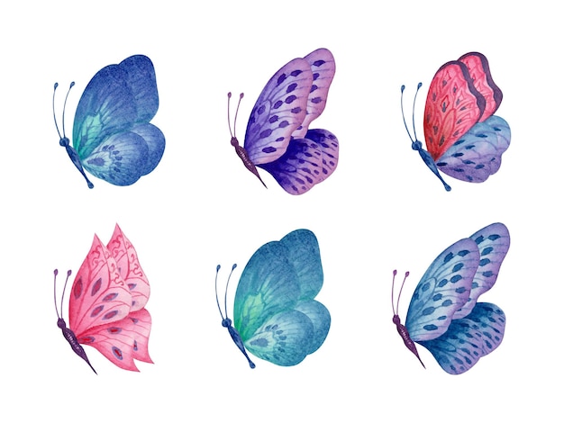 Set of hand drawn beautiful watercolor butterfly set