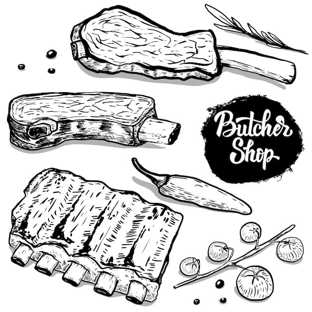 Vector set of hand drawn beef ribs with spices.  elements for poster, menu, flyer.  illustration