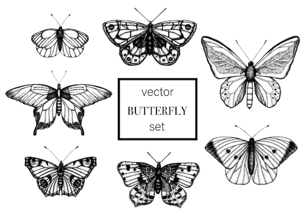 set of hand drawn black and white butterflies.