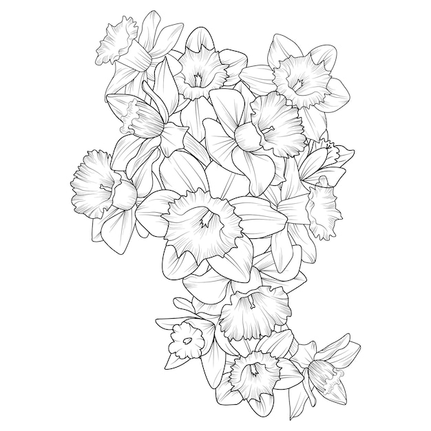 Set of hand-drawn black and white daffodil bouquet leaves and natural collection isolated on white.