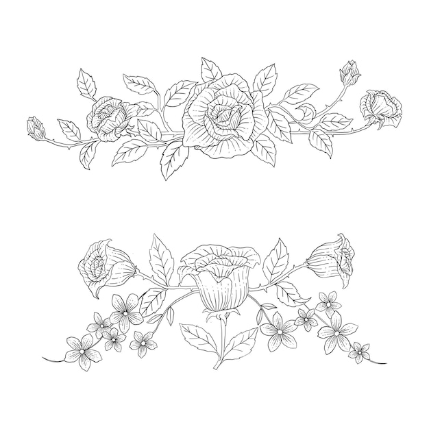 Set of hand drawn botanical elements ornamental vector