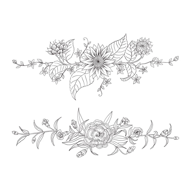 Set of hand drawn botanical elements ornamental 