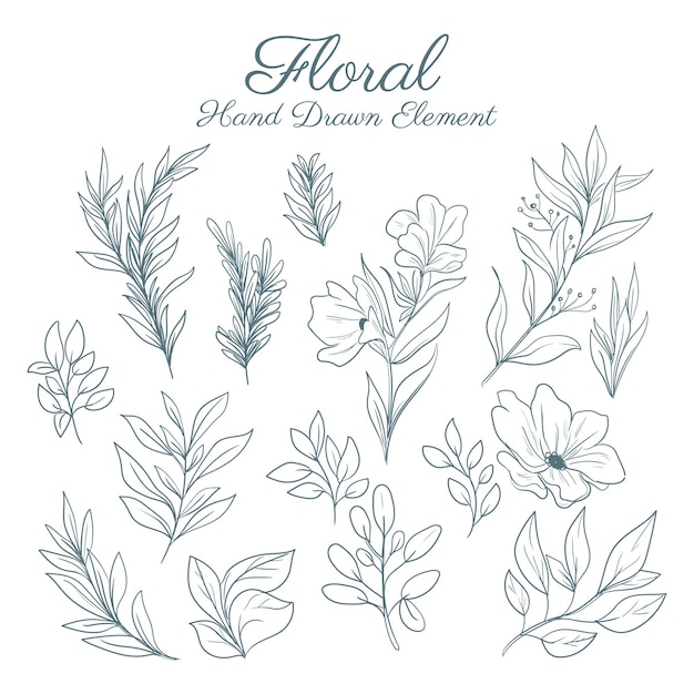 set hand drawn botanical floral decorative elements