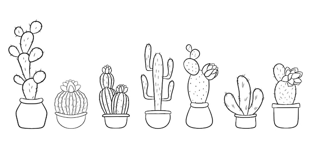 Set of hand drawn cacti in pots